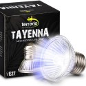 Terrario Tayenna 25W - mini halogen UVB Terrario
