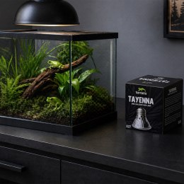 Terrario Tayenna 25W - mini halogen UVB Terrario