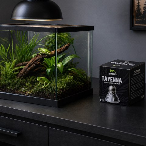 Terrario Tayenna 25W - mini halogen UVB Terrario