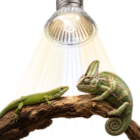 Terrario Tayenna 25W - mini halogen UVB Terrario