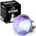 Terrario Tayenna 25W - mini halogen UVB Terrario