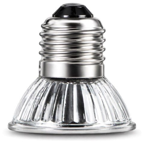 Terrario Tayenna 25W - mini halogen UVB Terrario