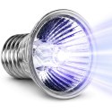 Terrario Tayenna 50W - mini halogen UVB Terrario