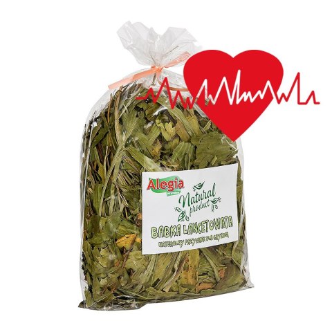 Alegia - Babka Lancetowata 100g Alegia