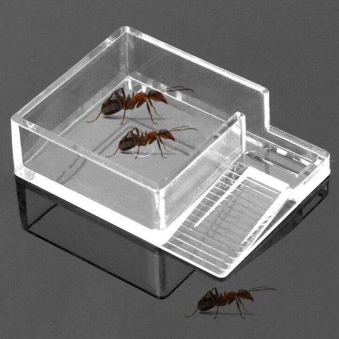 Ant Expert Ant Feeder - karmnik dla mrówek Ant Expert