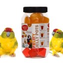 HappyPet Tweeter's Treats Fruity Jelly Pots 27 sztuk - mix smaków Happypet