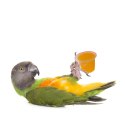 HappyPet Tweeter's Treats Fruity Jelly Pots 27 sztuk - mix smaków Happypet
