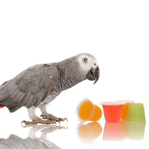 HappyPet Tweeter's Treats Fruity Jelly Pots 60 sztuk - mix smaków Happypet