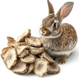Herbal Pets - Chipsy naturalne Topinambur 75g Herbal Pets