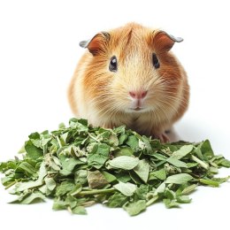 Herbal Pets - Koniczyna 80g Herbal Pets