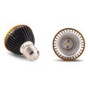 Terrario Reptile's LED UVB 10.0 3W - żarówka LED UVB Terrario