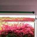 Chihiros B-Series B30 LED Light with Commander - lampa led sterowana aplikacją 30-50cm Chihiros