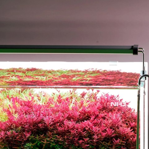 Chihiros B-Series B30 LED Light with Commander - lampa led sterowana aplikacją 30-50cm Chihiros