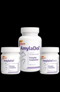 Dolfos AmylaDol 90 Tabletek Dolfos