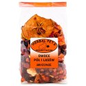 Herbal Pets - Owoce Pół i Lasów 100g Herbal Pets