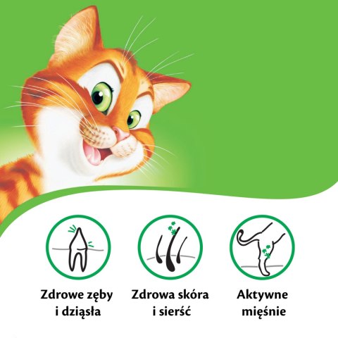 KITEKAT Sucha Karma Dla Kotów Z Kurczakiem I Warzywami 12kg Kitekat