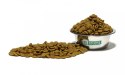 Nature's Protection Extra Salmon 2kg Nature's Protection
