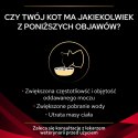 PURINA Pro Plan Veterinary Diets DM Diabetes Management Cat Kurczak 85g Purina Veterinary Diets