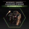 Purina Pro Plan Large Puppy Robust Optistart Kurczak I Ryż 12kg Purina Pro Plan