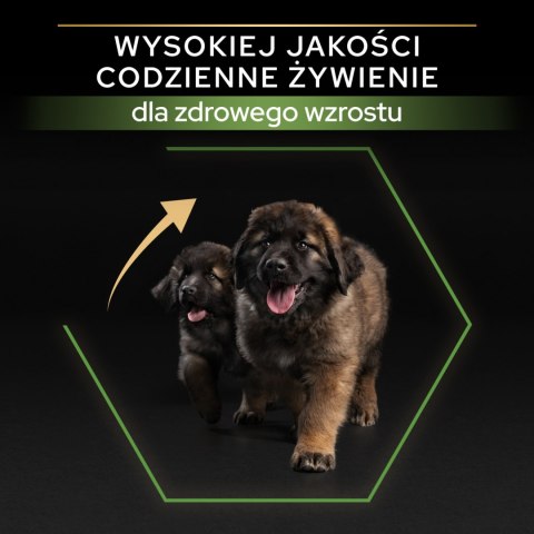 Purina Pro Plan Large Puppy Robust Optistart Kurczak I Ryż 12kg Purina Pro Plan