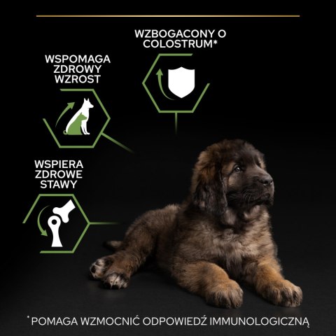 Purina Pro Plan Large Puppy Robust Optistart Kurczak I Ryż 12kg Purina Pro Plan