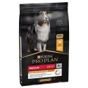 Purina Pro Plan Medium Adult Optibalance Kurczak I Ryż 14kg Purina Pro Plan