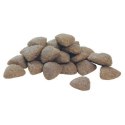 Purina Pro Plan Medium Adult Optibalance Kurczak I Ryż 14kg Purina Pro Plan