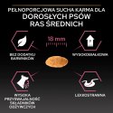 Purina Pro Plan Medium Adult Sensitive Skin Optiderma Łosoś I Ryż 14kg Purina Pro Plan