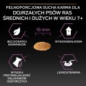 Purina Pro Plan Medium & Large 7+ Sensitive Optiderma Łosoś I Ryż 14kg Purina Pro Plan