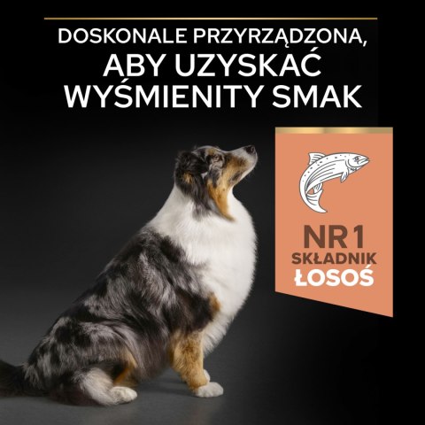 Purina Pro Plan Medium & Large 7+ Sensitive Optiderma Łosoś I Ryż 14kg Purina Pro Plan