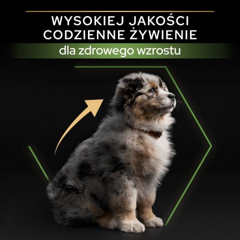 Purina Pro Plan Medium Puppy Optistart Kurczak I Ryż 12kg Purina Pro Plan