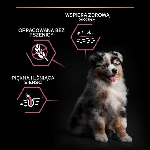 Purina Pro Plan Medium Puppy Sensitive Optiderma Łosoś I Ryż 12kg Purina Pro Plan