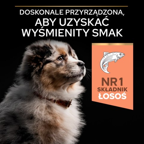 Purina Pro Plan Medium Puppy Sensitive Optiderma Łosoś I Ryż 12kg Purina Pro Plan