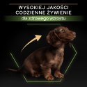 Purina Pro Plan Small & Mini Puppy Optistart Kurczak I Ryż 7kg Purina Pro Plan