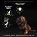 Purina Pro Plan Small & Mini Puppy Optistart Kurczak I Ryż 7kg Purina Pro Plan