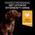 Purina Pro Plan Small & Mini Puppy Optistart Kurczak I Ryż 7kg Purina Pro Plan