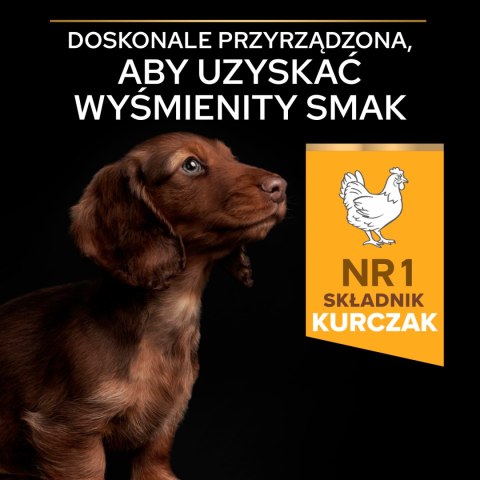 Purina Pro Plan Small & Mini Puppy Optistart Kurczak I Ryż 7kg Purina Pro Plan