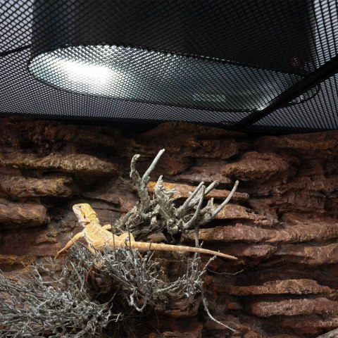 Repti-Zoo Desert and Tropical LED UVB - żarówka LED UVB do terrarium Repti-Zoo