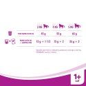 WHISKAS Karma Sucha Dla Kota 1+ Z Wołowiną 14kg Whiskas