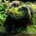 Wacool Rainforest Plant Cotton 440x440m - hydrolon WaCool