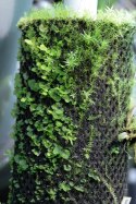 Wacool Rainforest Plant Cotton 440x440m - hydrolon WaCool