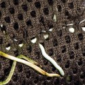 Wacool Rainforest Plant Cotton 590x440mm - hydrolon WaCool