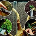 Wacool Rainforest Plant Cotton 590x440mm - hydrolon WaCool