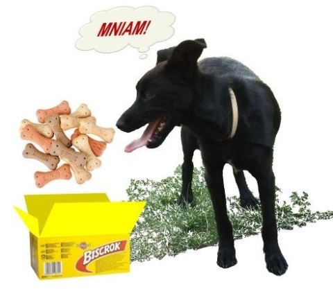 Pedigree Biscrok Ciasteczka Dla Dorosłych Psów W Kształcie Kostek Z Jagnięciną, Kurczakiem I Wołowiną 500g Pedigree