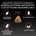 Purina Pro Plan Large Adult Athletic Optiderma Łosoś I Ryż 14kg Purina Pro Plan
