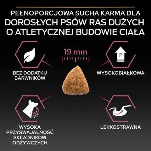 Purina Pro Plan Large Adult Athletic Optiderma Łosoś I Ryż 14kg Purina Pro Plan