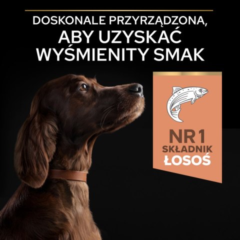 Purina Pro Plan Large Adult Athletic Optiderma Łosoś I Ryż 14kg Purina Pro Plan