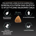 Purina Pro Plan Large Adult Athletic Optidigest Jagnięcina Z Ryżem 14kg Purina Pro Plan