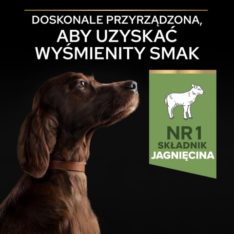 Purina Pro Plan Large Adult Athletic Optidigest Jagnięcina Z Ryżem 14kg Purina Pro Plan