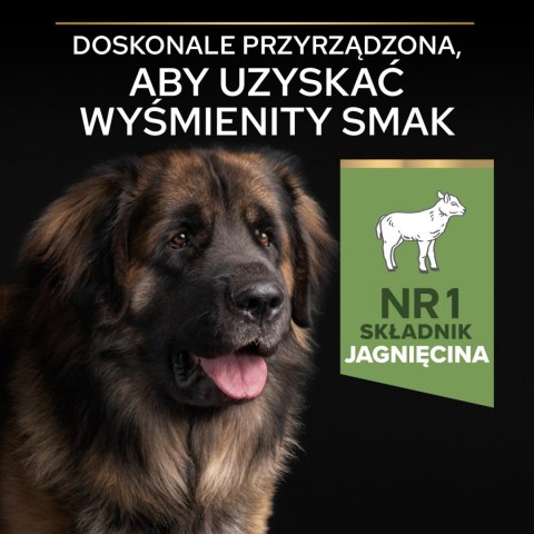 Purina Pro Plan Large Robust Optidigest Jagnięcina Z Ryżem 14kg Purina Pro Plan